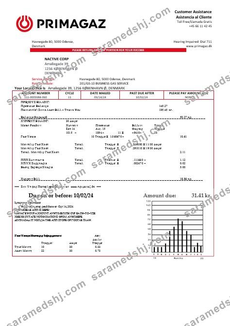 Denmark Primagaz Denmark gas business utility bill in word and pdf formats